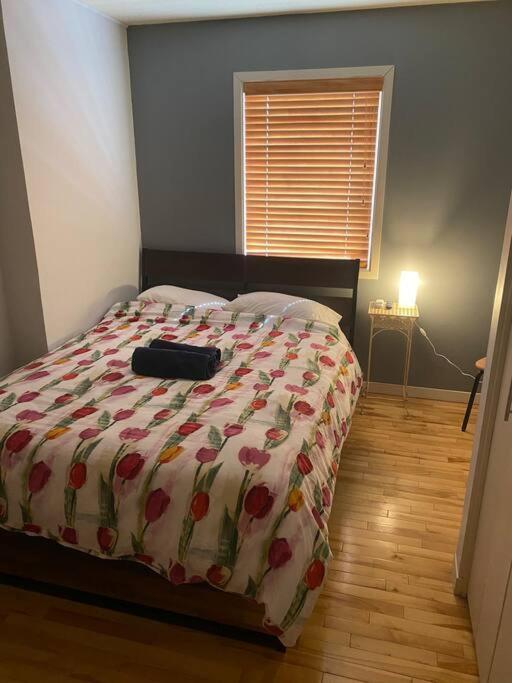 Chez Emma Hostel Γκατινό Εξωτερικό φωτογραφία